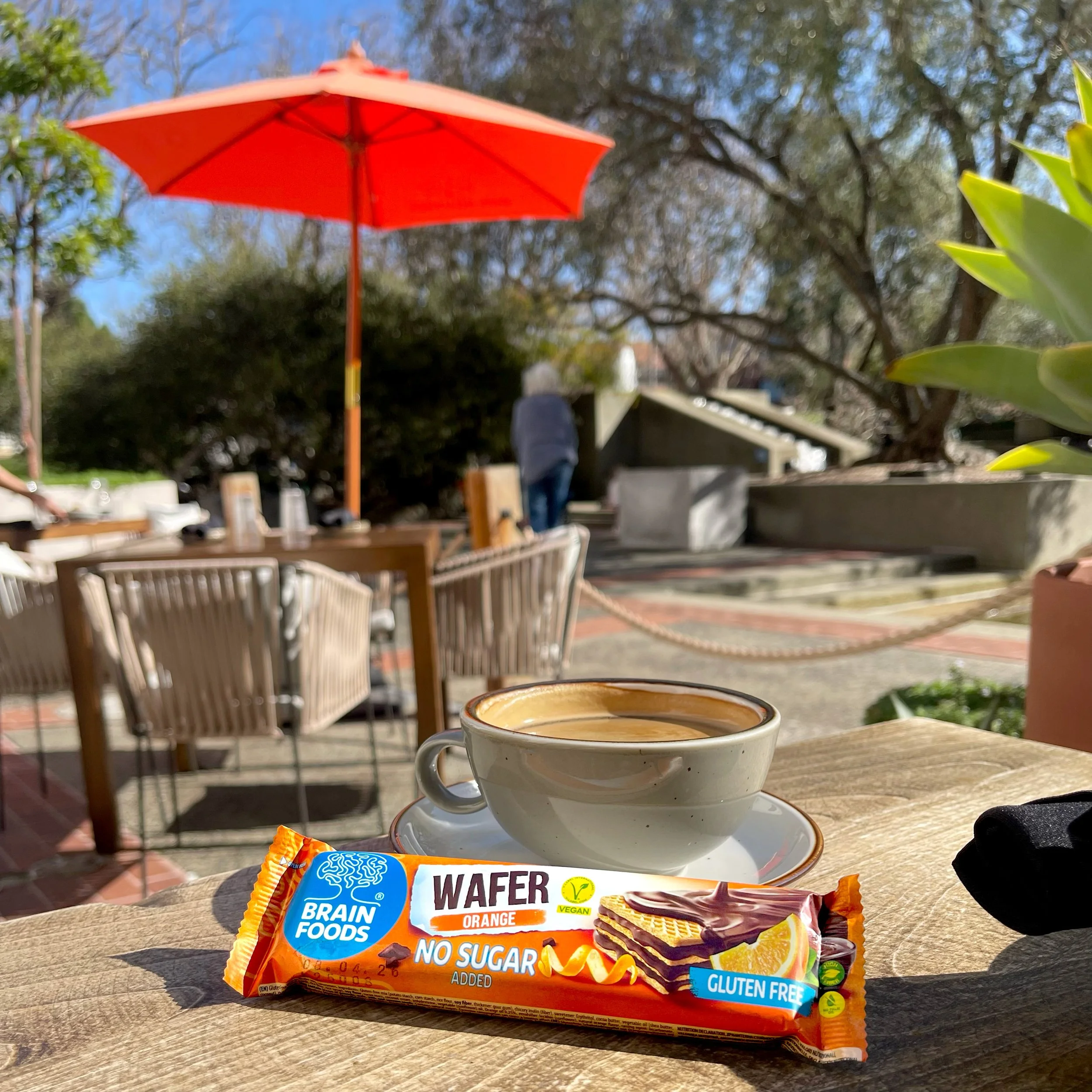 BRAIN FOODS Wafer, Orange Chocolate, Gluten Free Vegan, 1 Bar
